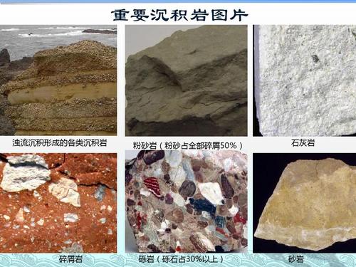 无忧文档 所有分类 自然科学 数学 岩石及土的分类ppt 重要沉积岩图片
