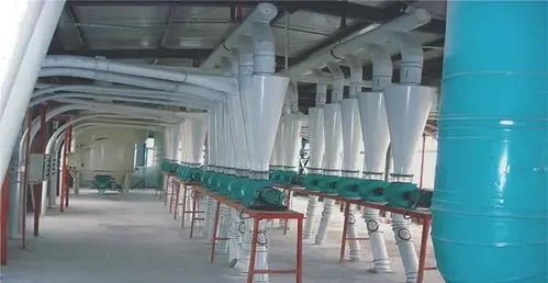 未来面粉加工设备行业发展趋势