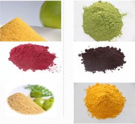 启未来之势 逐绿色梦想——上海夜草生物科技粉砂加工项目签约仪式圆满举行